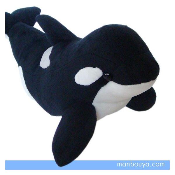 シャチのぬいぐるみ 水族館 グッズ おみやげ 海の生き物 Ishiwata オルカ ｌサイズ 53cm まんぼう屋ドットコム Buyee Buyee Japanese Proxy Service Buy From Japan Bot Online