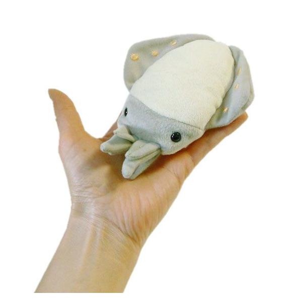 イカのぬいぐるみ 水族館 グッズ 海の生き物 海中散歩おともだちビーンズ アオリイカ15cm まんぼう屋ドットコム Buyee Buyee 日本の通販商品 オークションの代理入札 代理購入