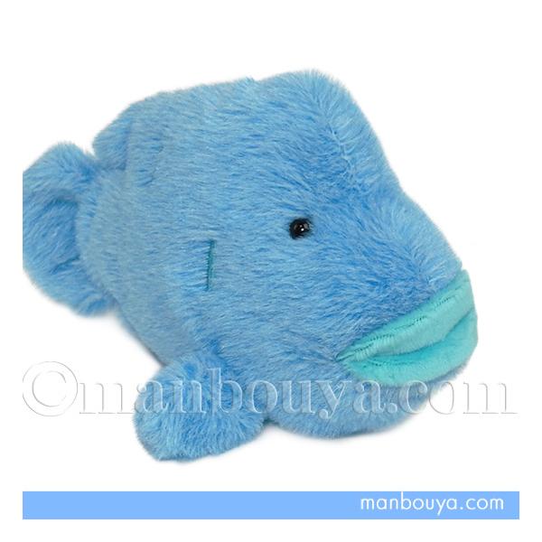 i|ItBbV ʂ  CU ۂ܂S Kl`mEI 13cm