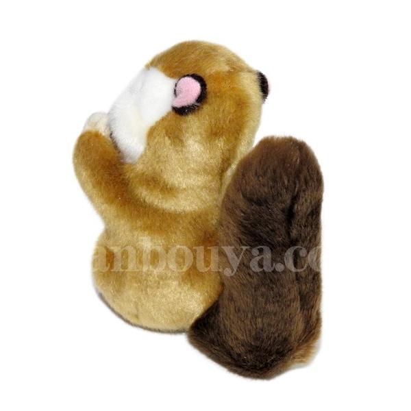 リスのぬいぐるみ 北海道キャラクター コロコロコロルくんシリーズ エゾリスのほっぺちゃん 13cm まんぼう屋ドットコム Buyee Buyee 日本の通販商品 オークションの入札サポート 購入サポートサービス
