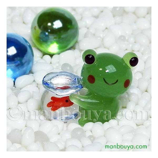 JG ObY u KX׍H ~j`A G tH[J[g Ƌ [֔