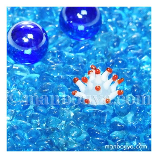 Ĉ KX׍H ~j`A G OXXNGA v`V[Y C\M`N zCg [֔