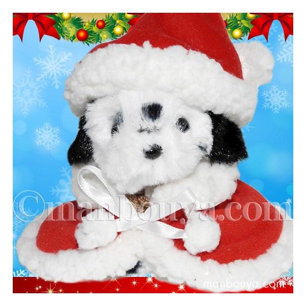 NX}X ʂ  TAKENOKO ̂ _VA T^ߑ  ܂ڂhbgR