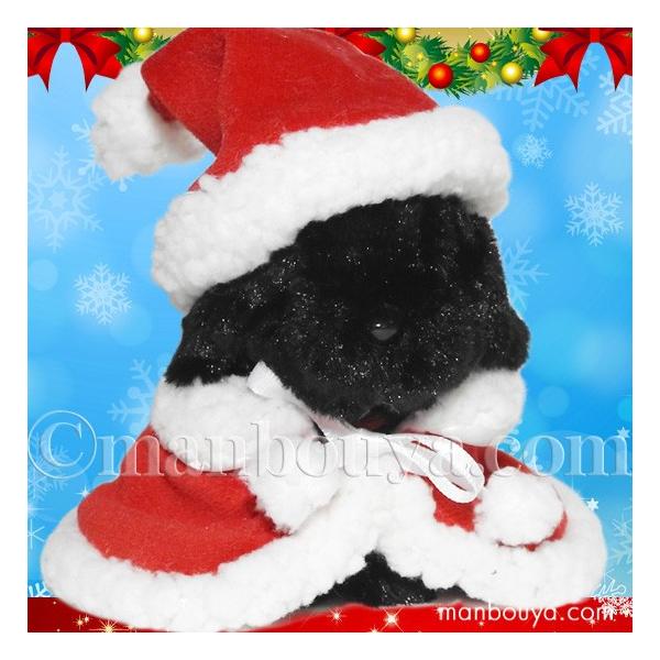 �N���X�}�X �ʂ������ �� TAKENOKO �����̂� ���u���h�[�����g���o�[ �T���^�ߑ�  �܂�ڂ����h�b�g�R��