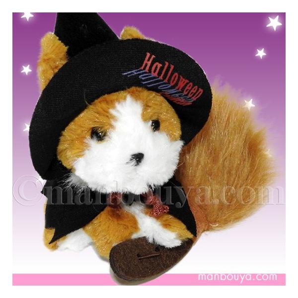 ʂ  nEB  TAKENOKO ̂ R[M[ nEBߑ ܂ڂhbgR