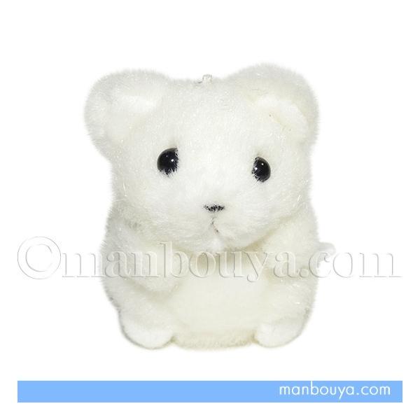 くま ぬいぐるみ 白」の人気商品一覧 | 安い商品を通販サイト