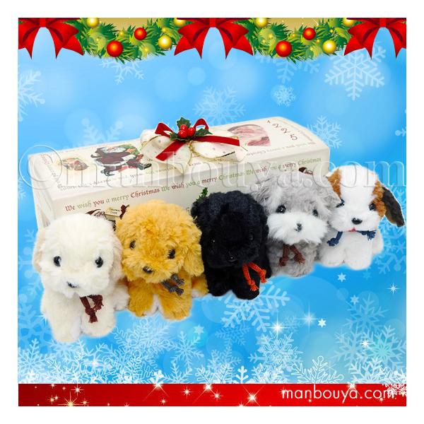 NX}Xv[g ʂ  ̂ TAKENOKO JOYFUL MATES LfBtHe[k 5 T^{bNX
