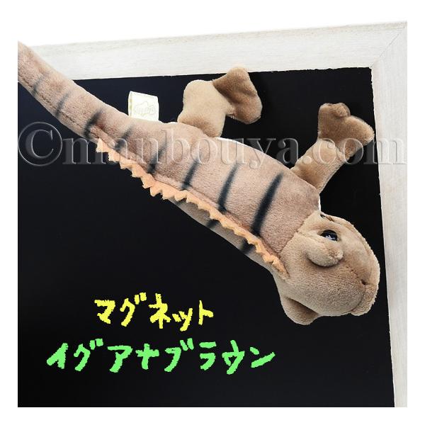 COAi ʂ ঒ }Olbg eCNIt takeoff Aj}jA COAiuE 19cm [֔