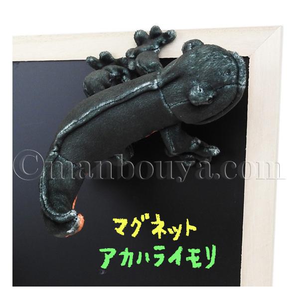 C ʂ  }Olbg eCNIt takeoff Aj}jA AJnC 15cm [֔