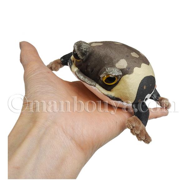 カエル ぬいぐるみ マグネット テイクオフ Takeoff アニマニア アメフクラガエル 8 5cm メール便発送可 Buyee Buyee Japanese Proxy Service Buy From Japan Bot Online