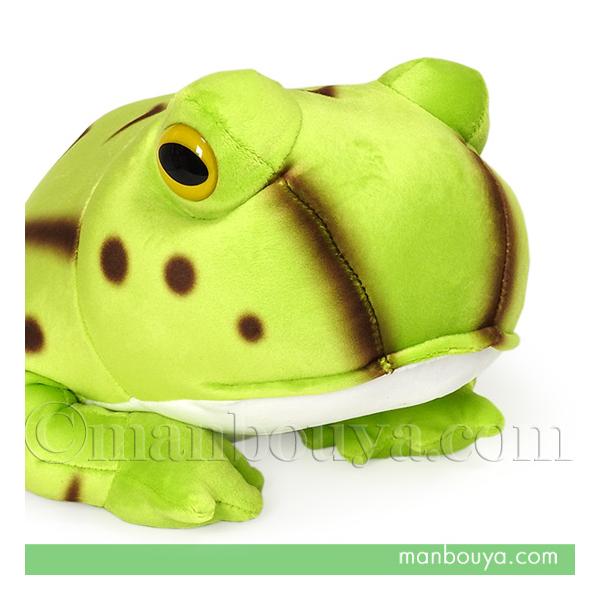 カエル ぬいぐるみ ベルツノガエル テイクオフ takeoff アニマニア M