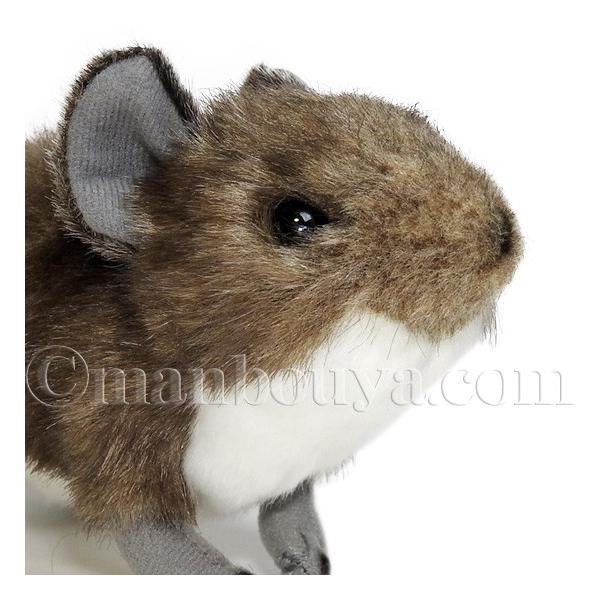 ネズミ ぬいぐるみ デグー おもちゃ グッズ Tst 101 デグーマウス 15cm Buyee Buyee 日本の通販商品 オークションの代理入札 代理購入