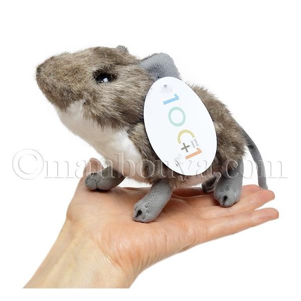 ネズミ ぬいぐるみ デグー おもちゃ グッズ Tst 101 デグーマウス 15cm Buyee Buyee 日本の通販商品 オークションの代理入札 代理購入