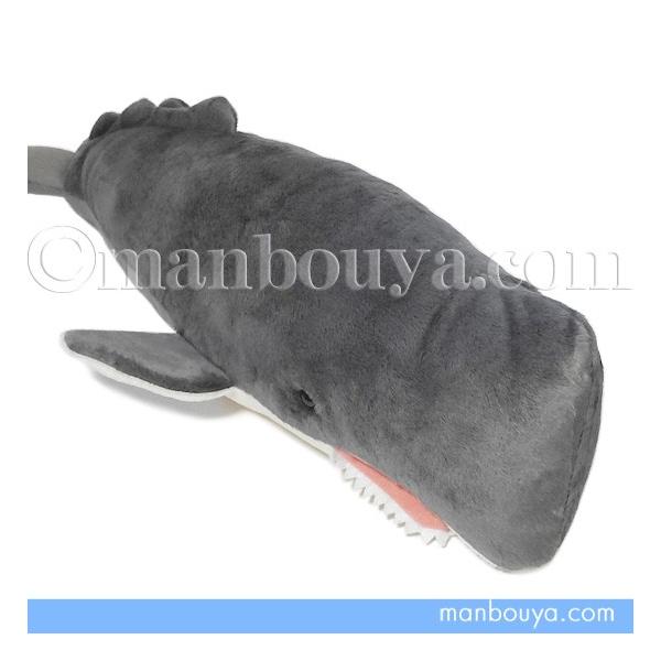 manbouya_tst-sm289 manbouya_tst-sm289