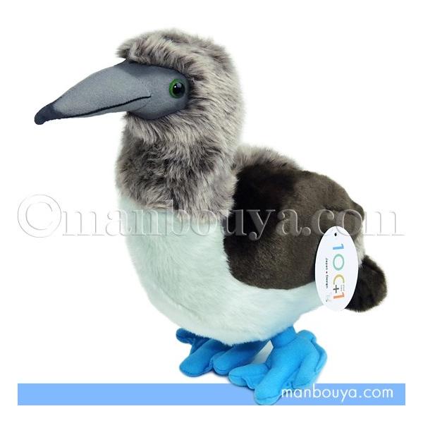 海鳥 ぬいぐるみ カツオドリ Tst 太洋産業貿易 101シリーズ アオアシカツオドリ 30cm Tst Sm311 まんぼう屋ドットコム Yahoo 店 通販 Yahoo ショッピング