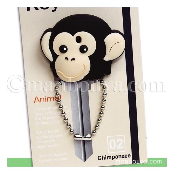  L[Jo[ Jo[ 킢 Aj} L[Lbv `pW[ [֔