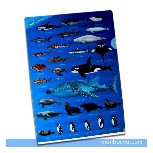 クリアファイル 海の生き物がいっぱい 図鑑タイプ 水族館の人気者 ゆうパケット発送可 まんぼう屋ドットコム Za まんぼう屋ドットコム Yahoo 店 通販 Yahoo ショッピング