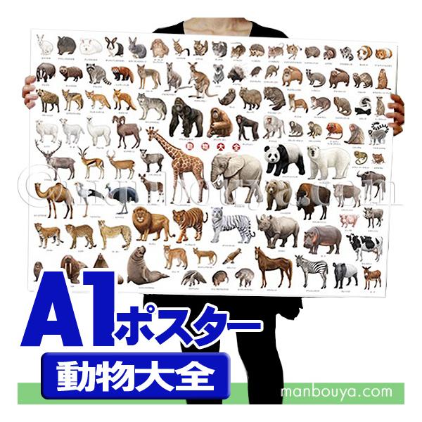 } q A[g|X^[ CeA  A1TCY C S |X^[