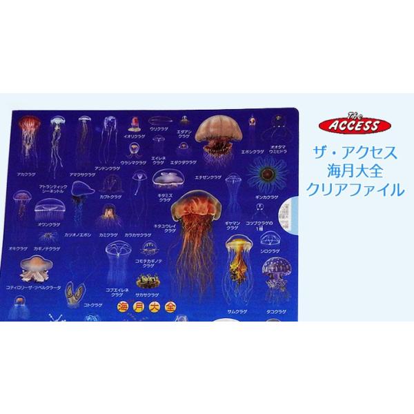 クリアファイル クラゲグッズ おもしろ文房具 くらげの図鑑 海月大全クリアホルダ ゆうパケット発送可 まんぼう屋ドットコム Buyee Buyee Japanese Proxy Service Buy From Japan Bot Online