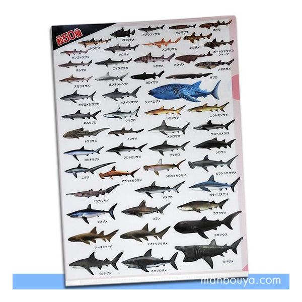 A4 NAt@C T ObY 땶[ L̐} LS NAz_[ [֔