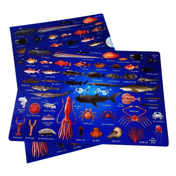 クリアファイル 深海魚 グッズ 図鑑タイプ ザ アクセス 深海大全 クリアホルダー ゆうパケット発送可 まんぼう屋ドットコム Buyee 日本代购平台 产品购物网站大全 Buyee一站式代购 Bot Online