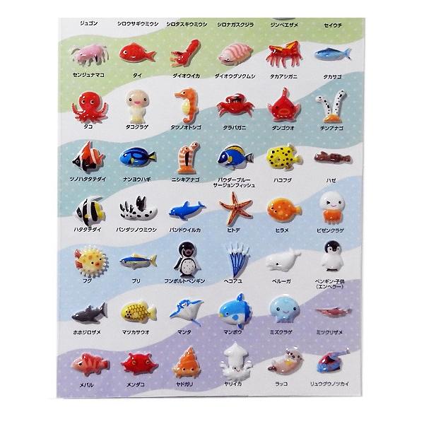 小さいシール 水族館グッズ 海の仲間がいっぱい ザ アクセス ミニプチ図鑑シール ゆうパケット発送可 まんぼう屋ドットコム Buyee Buyee 日本の通販商品 オークションの代理入札 代理購入