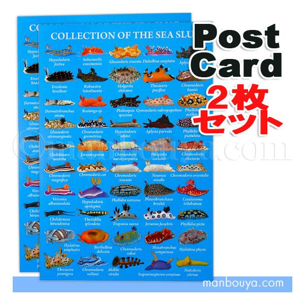 ウミウシグッズ ポストカード おしゃれ 水族館グッズ ザ アクセス うみうし大全 絵葉書 ゆうパケット発送可 Buyee Buyee 提供一站式最全面最專業現地yahoo Japan拍賣代bid代拍代購服務 Bot Online