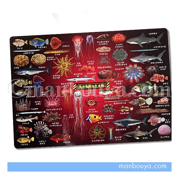 図鑑 魚 文房具 文具の人気商品 通販 価格比較 価格 Com