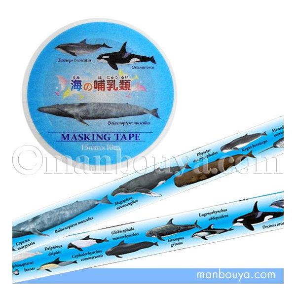 マスキングテープ マステ クジラ イルカ シャチ 水族館グッズ ザ アクセス マリンフレンズ 海の哺乳類大全 15mm幅 ゆうパケット発送可 Buyee Buyee Japanese Proxy Service Buy From Japan Bot Online