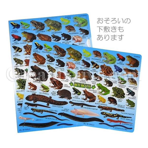 クリアファイル カエル サンショウウオ 図鑑 文房具 ザ アクセス 両棲類大全 クリアホルダー メール便発送可 Buyee Buyee Japanese Proxy Service Buy From Japan Bot Online