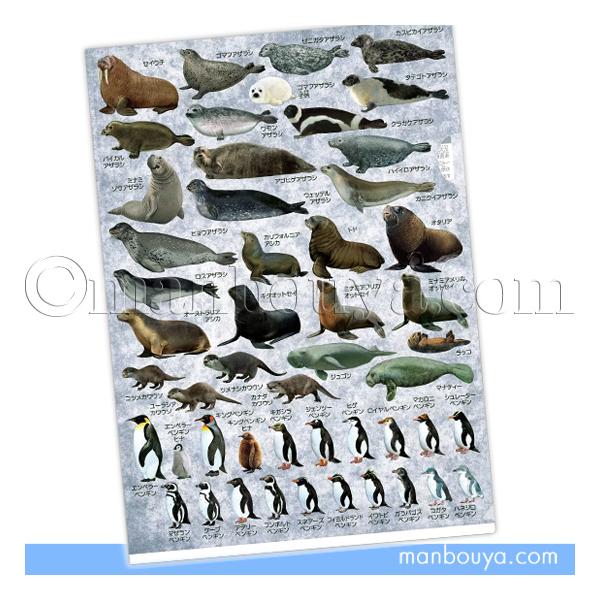 ペンギン アザラシ 文房具 A4 クリアファイル 図鑑 大全シリーズ ザ