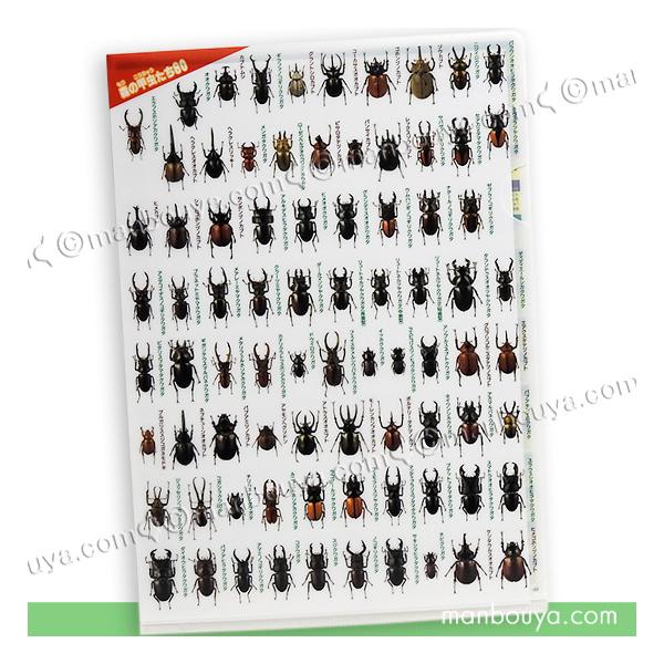 【あおあお】　キャラクター図鑑　13冊セット A4 クリアファイル 昆虫 文房具 図鑑シリーズ ザ・アクセス 甲虫大全