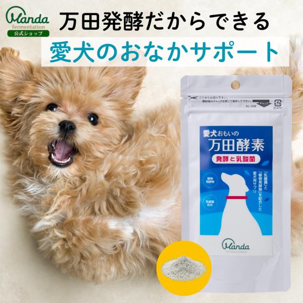 犬 乳酸菌 サプリ 公式 愛犬おもいの万田酵素 発酵と乳酸菌 サプリメント 保存料不使用 万田発酵 粒 イヌ ペット 腸内の健康をサポート