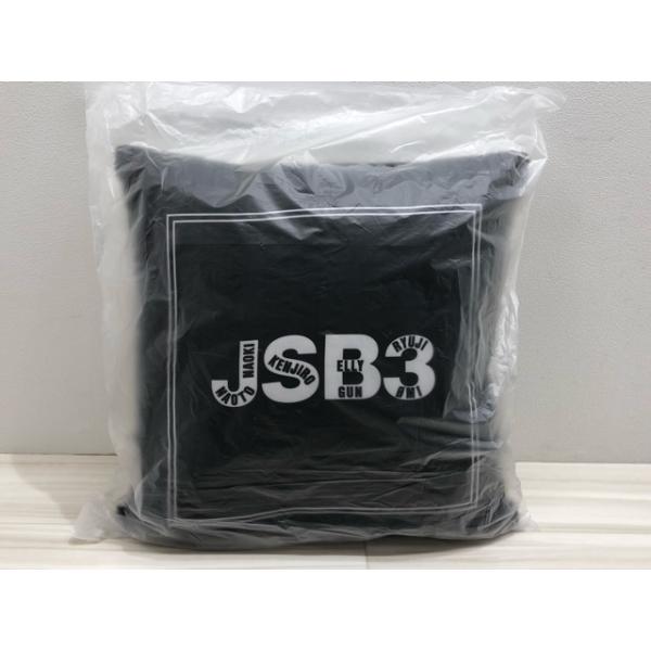 三代目 J Soul Brothers ECHOES of DUALITY MATE クッション 未開封
