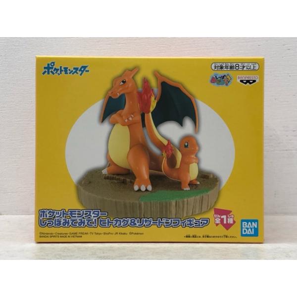 未開封☆ポケットモンスター しっぽみてみて! ヒトカゲ & リザードン