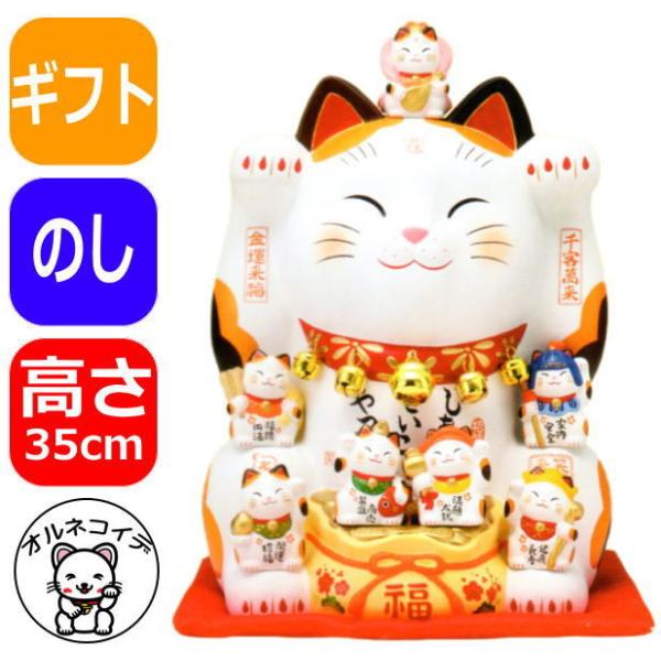 JXj ԈȊO  L _ u CeA 傫 v[g HX y_Li12j35cmzT  v[g ɐ