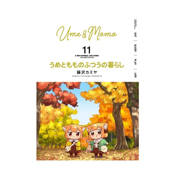 レトロ！ 冒険してもいい頃 全11巻完結セット 内9冊初版発行 マジック・ツリーハウス 夏休み！新刊発売記念キャンペーン | 株式会社
