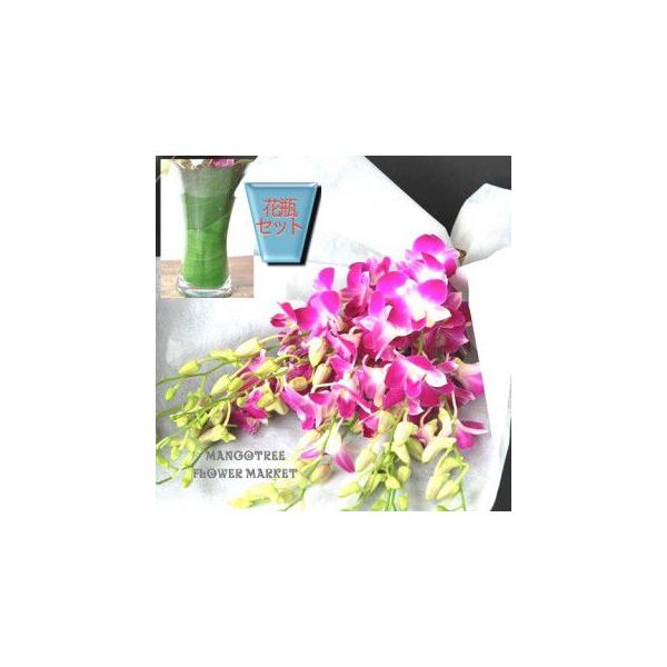 デンファレラベンダーの花束 Lavender Orchid10本 花瓶付き Buyee Buyee Japanese Proxy Service Buy From Japan Bot Online