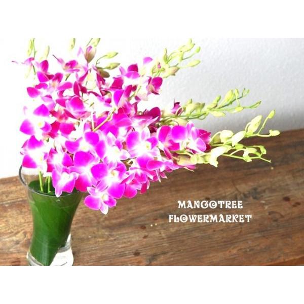 デンファレラベンダーの花束 Lavender Orchid10本 花瓶付き Buyee Buyee Japanese Proxy Service Buy From Japan Bot Online