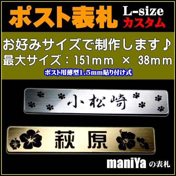 \D yLJX^TCY(ő151mm x 38mm)zAN\DቮOΉ傫w\XeXȂǂ̋ł͂܂/߂܂ł͓̂o!!