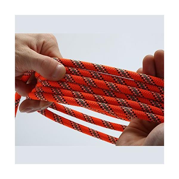 Extreme Survival Outdoor Sport Equipment Hooks 海外正規品mumai Rock Climbing Rope With 164ft Rope 2 Hooks 164ft Diameter 8mm Orange Pd マニアックス 店