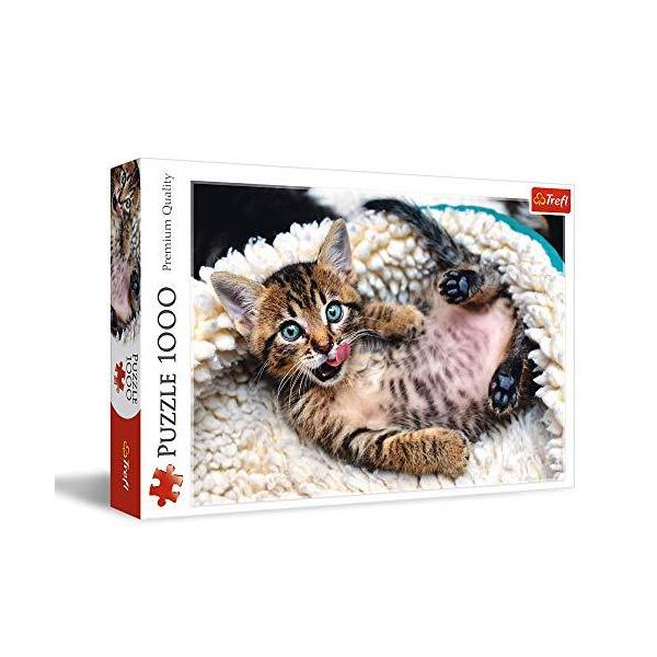 maniacs-shop_pd-01495987