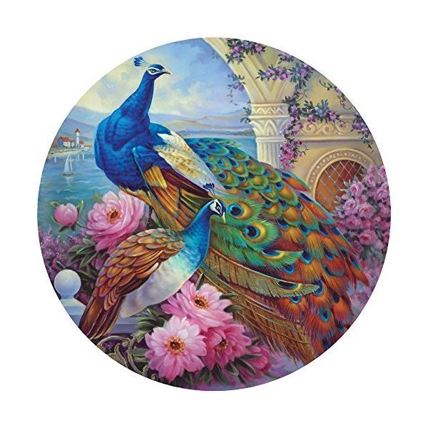 アメリカ製43821ラウンドジグソーパズル500ピース