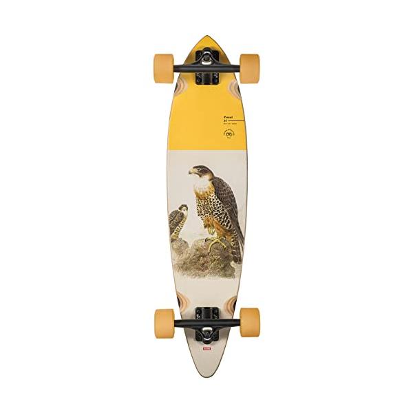 globe ロンスケ ロングボード スケボー グローブ ロングスケートボード スケボー 10525289 Globe Longboard