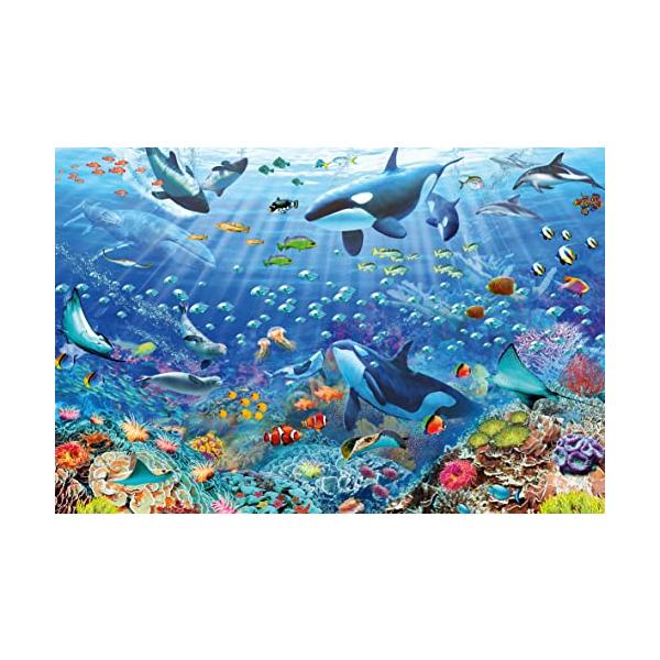 maniacs-shop_pd-01744167