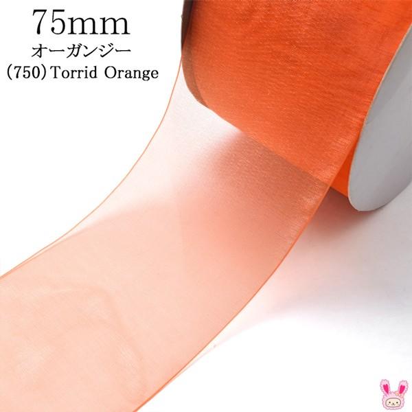 Ld34 75mm オーガンジーリボン 750 オレンジ系 Torrid Orange 6m まんま母さんのりぼん 通販 Yahoo ショッピング
