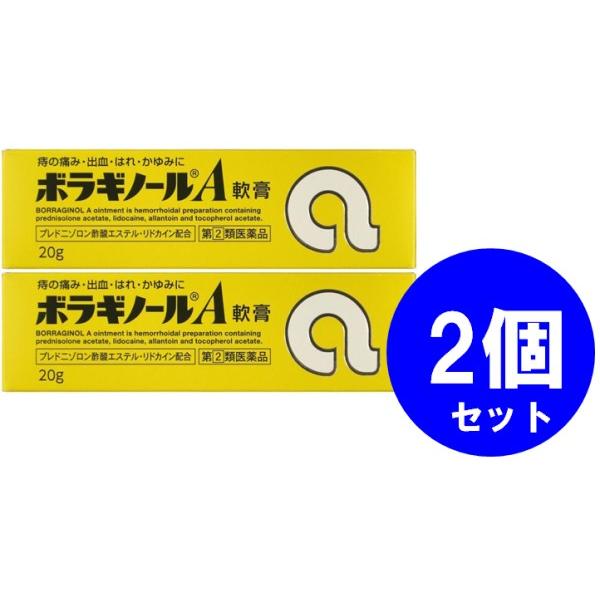 送料無料メール便!ボラギノールA　20ｇ　2個セット　指定2類医薬品(天藤製薬）