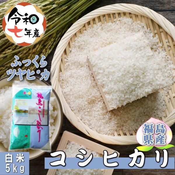 コシヒカリ 米 5kg 福島県産 お米 7年産 送料無料 『令和7年福島県産