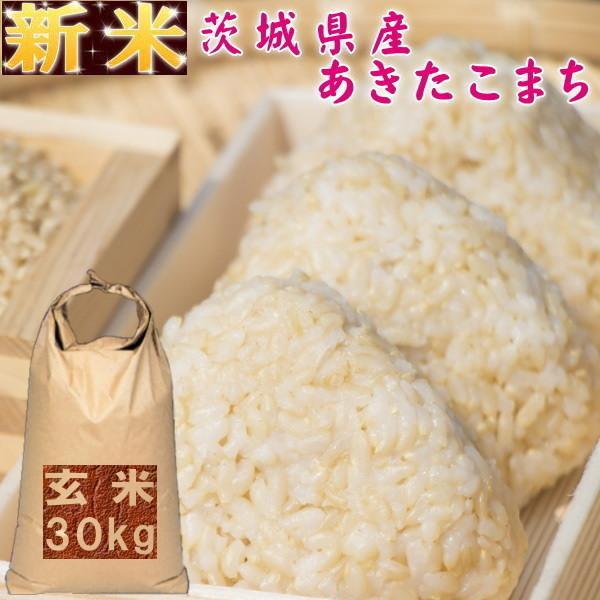 新米 30kg 送料無料 お米 5年産 30キロ おこめ 『令和5年茨城県産