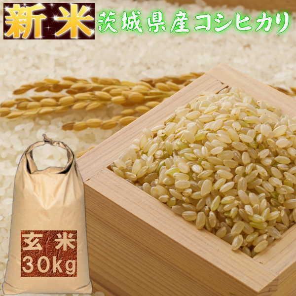 令和6年産 新米 こしひかり コシヒカリ 玄米30kg 茨城県産